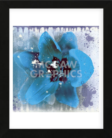 Tulip Fresco (blue) (Framed) -  Erin Clark - McGaw Graphics