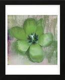Tulip Fresco (green) (Framed) -  Erin Clark - McGaw Graphics