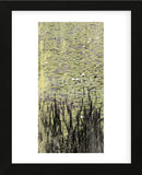 Lily Pond I (Framed) -  Erin Clark - McGaw Graphics