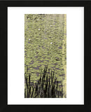 Lily Pond III (Framed) -  Erin Clark - McGaw Graphics