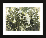 Dappled Radiance (Framed) -  Erin Clark - McGaw Graphics