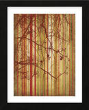 Auburn Stripe (Framed) -  Erin Clark - McGaw Graphics