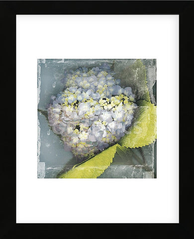 Antique Bloom (Framed) -  Erin Clark - McGaw Graphics