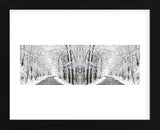 Two Roads Diverged in a Snowy Wood (Framed) -  Erin Clark - McGaw Graphics