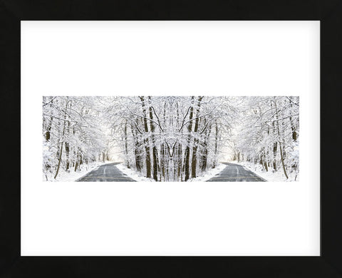 Two Roads Diverged in a Snowy Wood (Framed) -  Erin Clark - McGaw Graphics