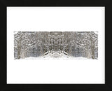 Winter Wonderland (Framed) -  Erin Clark - McGaw Graphics