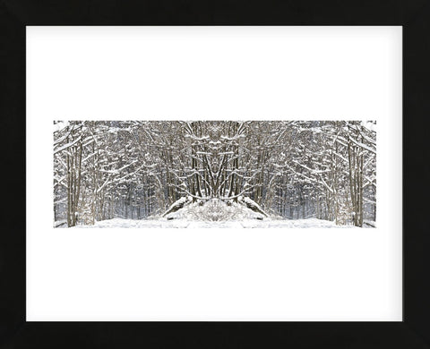 Winter Wonderland (Framed) -  Erin Clark - McGaw Graphics