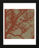 Cinnamon Tree IV (Framed) -  Erin Clark - McGaw Graphics