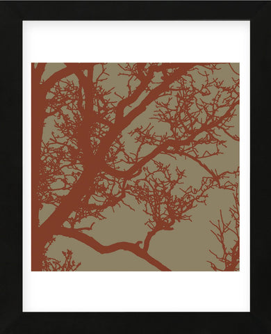 Cinnamon Tree IV (Framed) -  Erin Clark - McGaw Graphics