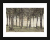 Forest (Framed) -  Erin Clark - McGaw Graphics