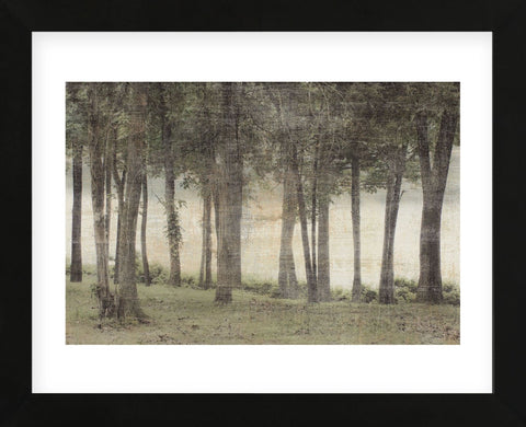 Forest (Framed) -  Erin Clark - McGaw Graphics