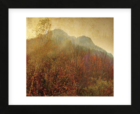 Autumn Colors 2 (Framed) -  Carlos Casamayor - McGaw Graphics