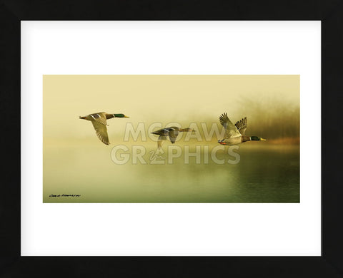 Ducks Flying (Framed) -  Carlos Casamayor - McGaw Graphics