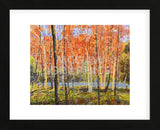 Forest Glow (Framed) -  Jean Cauthen - McGaw Graphics