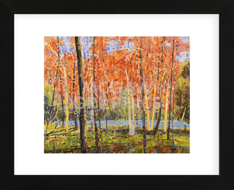 Forest Glow (Framed) | McGaw Graphics