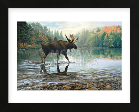 Moose Crossing (Framed) -  Russell Cobane - McGaw Graphics