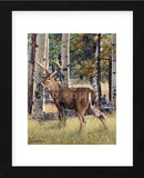 Fall Whitetail (Framed) -  Russell Cobane - McGaw Graphics