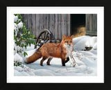 Fox and Barn (Framed) -  Russell Cobane - McGaw Graphics