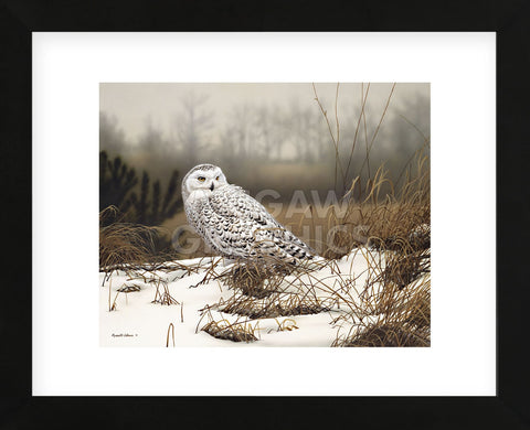 Snowy Mist (Framed) -  Russell Cobane - McGaw Graphics