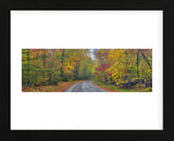 Autumn Road (Framed) -  Doug Cavanah - McGaw Graphics