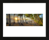 Palm Cove (Framed) -  Doug Cavanah - McGaw Graphics