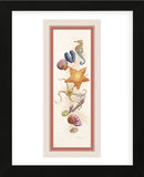 Seashore Discovery  (Framed) -  Lisa Danielle - McGaw Graphics