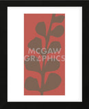 Maidenhair Coco Stem (single)  (Framed) -  Denise Duplock - McGaw Graphics