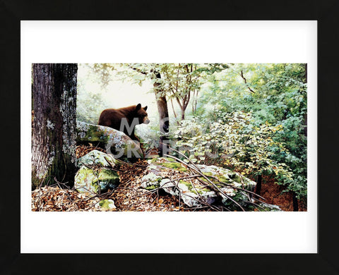 Along the North Ridge  (Framed) -  Linda Daniels - McGaw Graphics
