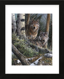 Watchful Eyes (Framed) -  Kevin Daniel - McGaw Graphics