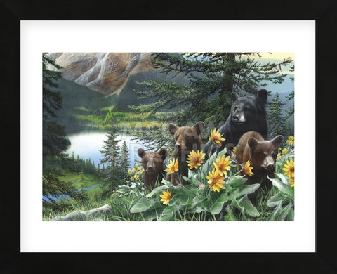 Basking in the Balsams (Framed) -  Kevin Daniel - McGaw Graphics