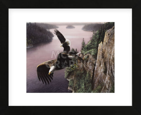Wings Over the St. Croix (Framed) -  Kevin Daniel - McGaw Graphics