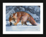 Fox at the Pines (Framed) -  Kevin Daniel - McGaw Graphics