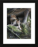 Mother’s Pride (Framed) -  Kevin Daniel - McGaw Graphics