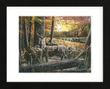 Autumn Harvest (Framed) -  Kevin Daniel - McGaw Graphics