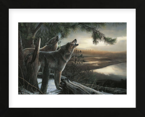 Wild Ones (Framed) -  Kevin Daniel - McGaw Graphics