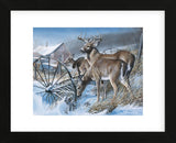 Snow Drifters (Framed) -  Kevin Daniel - McGaw Graphics