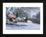 Late Winter Gathering (Framed) -  Kevin Daniel - McGaw Graphics