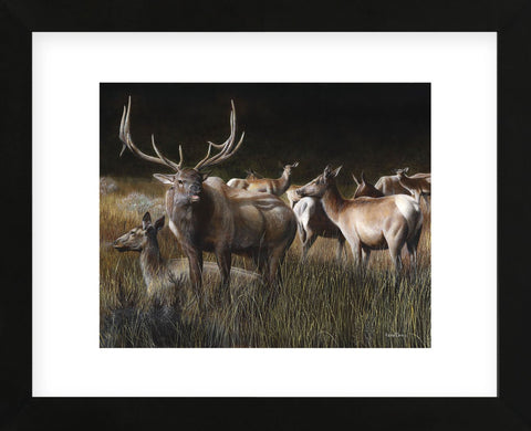 The Gathering (Framed) -  Kevin Daniel - McGaw Graphics