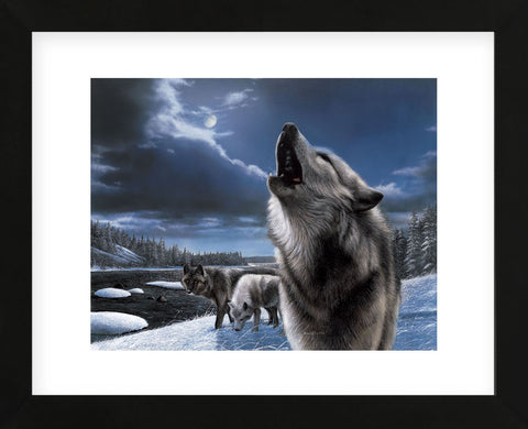 Howling Wolf (Framed) -  Kevin Daniel - McGaw Graphics