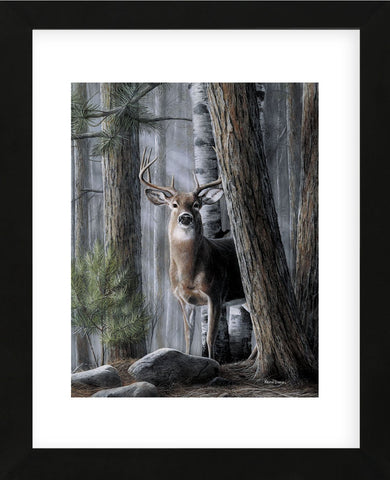 Solitary Buck (Framed) -  Kevin Daniel - McGaw Graphics