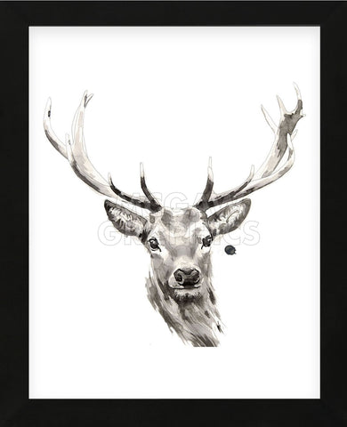 Elk (Framed) -  Philippe Debongnie - McGaw Graphics