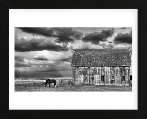 Horse and Barn (Framed) -  Trent Foltz - McGaw Graphics