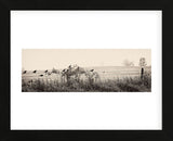 Resting Place I (Framed) -  Trent Foltz - McGaw Graphics