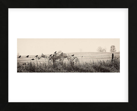 Resting Place I (Framed) -  Trent Foltz - McGaw Graphics