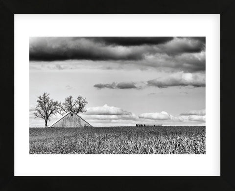 Crisp Fall Day (Framed) -  Trent Foltz - McGaw Graphics