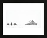Three Apple Trees (Framed) -  Trent Foltz - McGaw Graphics