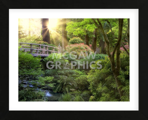 Awakening Garden I (Framed) -  Dennis Frates - McGaw Graphics