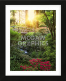 Awakening Garden II (Framed) -  Dennis Frates - McGaw Graphics