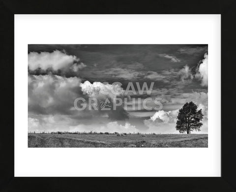 Sheep on the Horizon (Framed) -  Trent Foltz - McGaw Graphics
