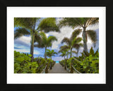 Paradise Path (Framed) -  Dennis Frates - McGaw Graphics